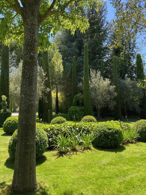 Natural landscape, Garden view