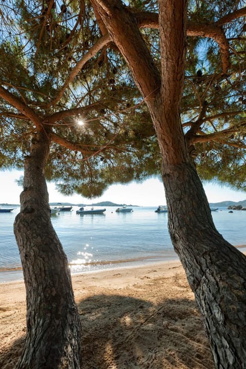 Nearby landmark, Off site, Day, Natural landscape, Beach, Hiking, Sea view, Time of day