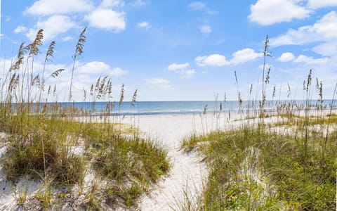 Seaclusion by Oversee 30A House in Inlet Beach