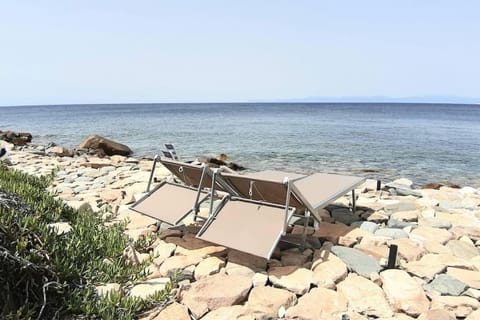 Beach, Sea view, sunbed