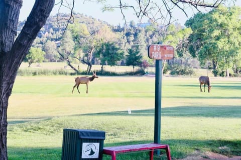 Eagle's Nest Payson Golf Course Casa in Payson