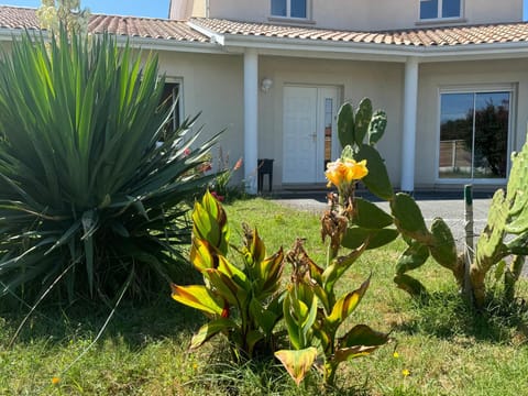 Property building, Spring, Day, Garden, Garden view