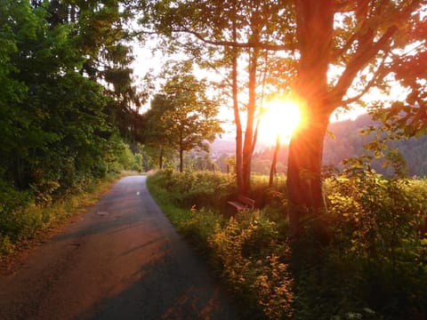 Neighbourhood, Summer, Sunset