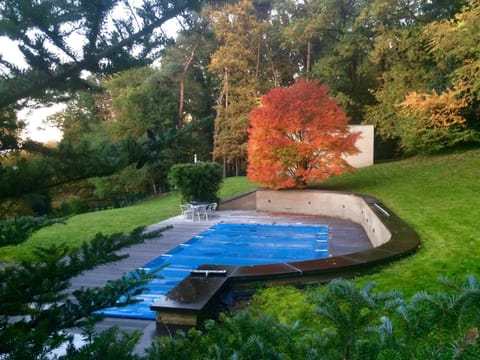 Garden, Pool view, Swimming pool