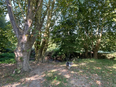 Eihera Berria, le Moulin du XVIIIème Casa in Espelette