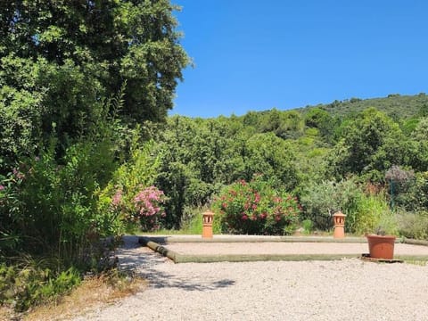 Natural landscape, Garden, Mountain view