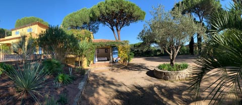 Photo of the whole room, Garden view