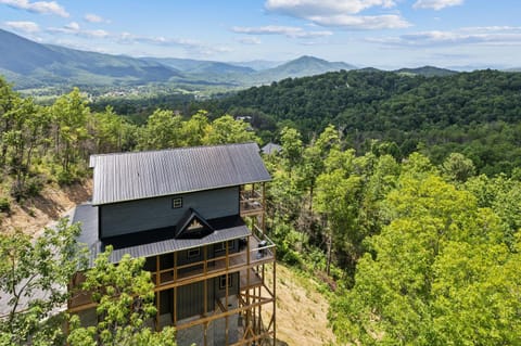 Property building, Bird's eye view