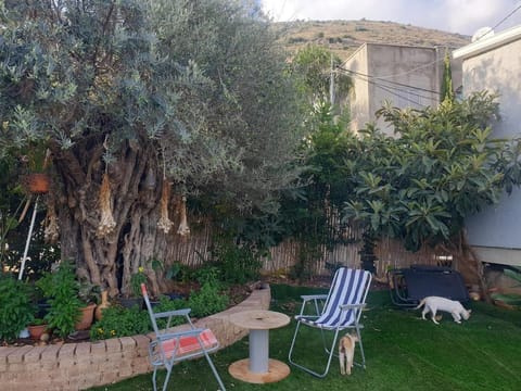 Garden, Garden view, sunbed