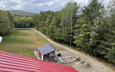 Natural landscape, View (from property/room)