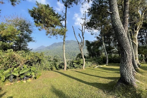 Natural landscape, Mountain view