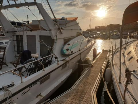 Insolite Docked boat in Hossegor