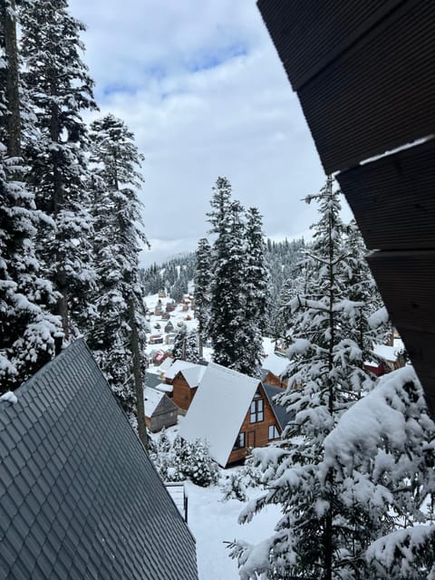 Whispering Pines Chalet in Adjara, Georgia