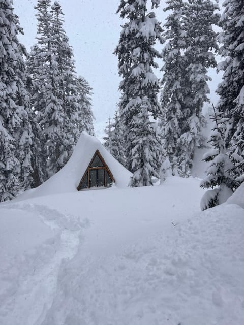 Whispering Pines Chalet in Adjara, Georgia