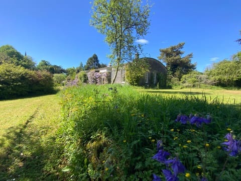 Natural landscape, Garden, Garden view