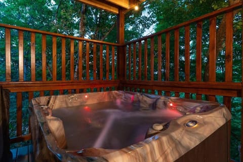 Andrea Bear Great Location Indoor Pool Theater House in Pigeon Forge