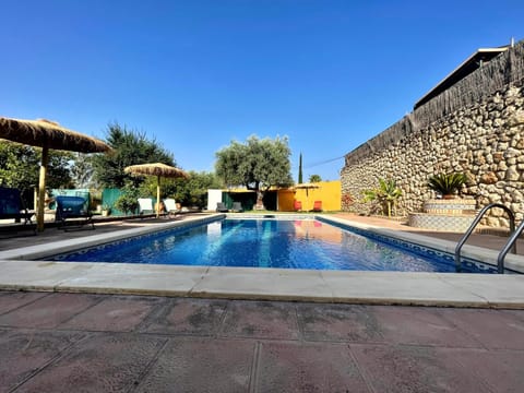 Day, Pool view, Swimming pool