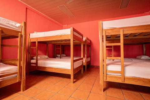 Bed, Photo of the whole room, Bedroom, bunk bed