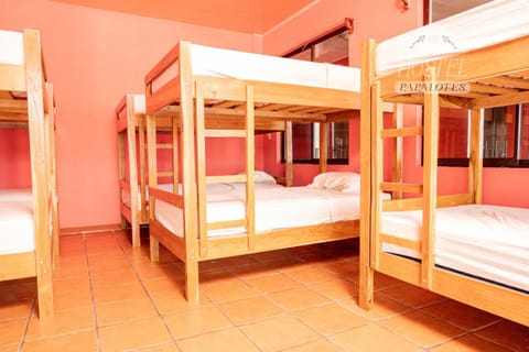 Bed, Photo of the whole room, bunk bed