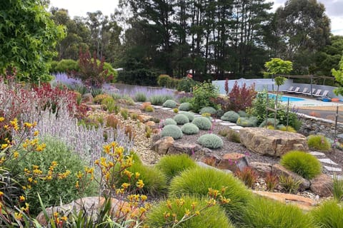 Garden, Garden view, Swimming pool