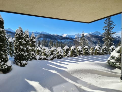 Balcony/Terrace, Mountain view