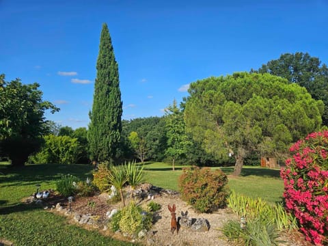 Day, Natural landscape, Garden view