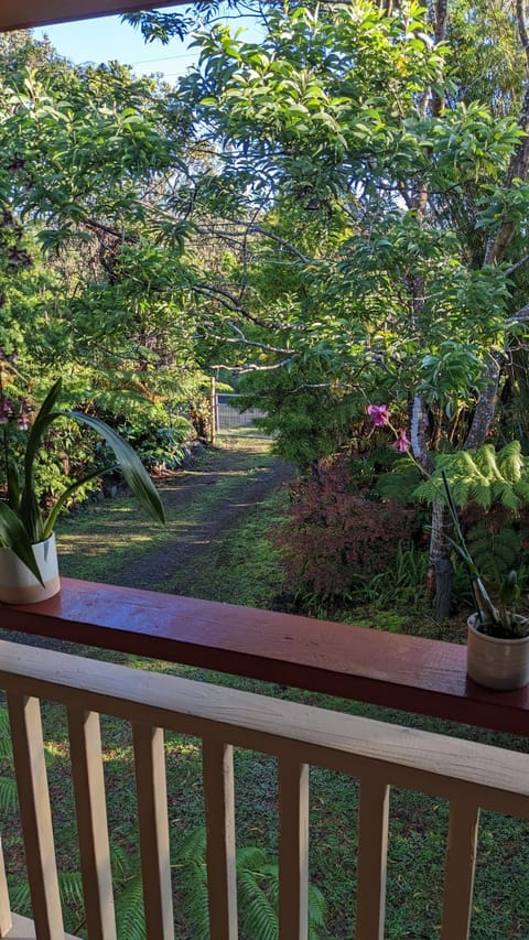 Garden, View (from property/room), Garden view