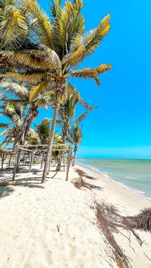 Natural landscape, Beach, Sea view