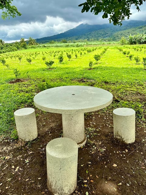 Natural landscape, Garden, Garden view, Mountain view