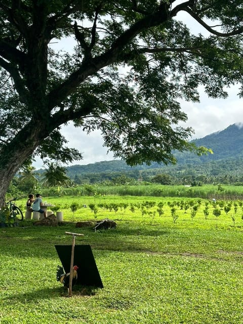 Natural landscape, Garden view, Mountain view