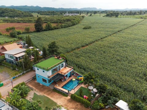 Bird's eye view, Garden