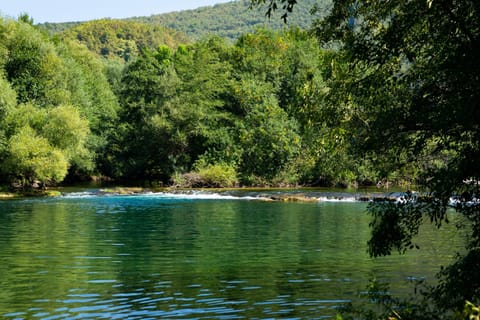 River view