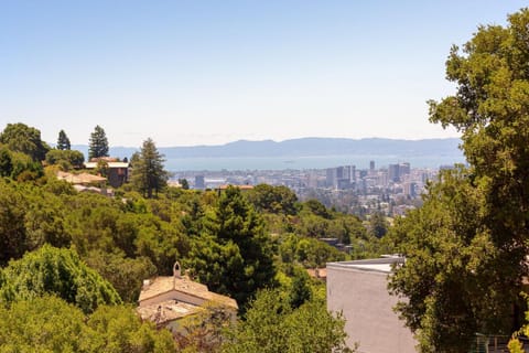 Luxury Berkeley Hills Villa with Bay View, Steam Room, 15 Mins to SF Villa in Oakland