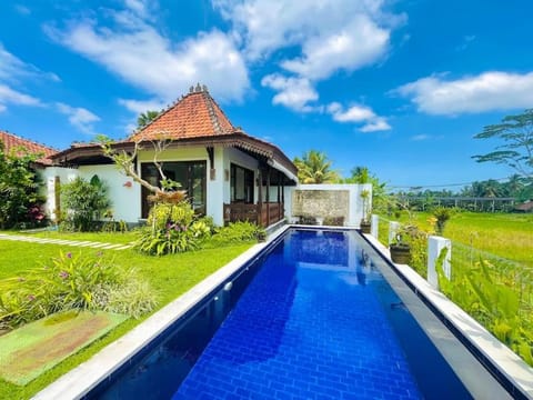 Garden view, Pool view, Swimming pool