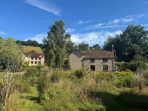 Property building, Natural landscape, Garden view