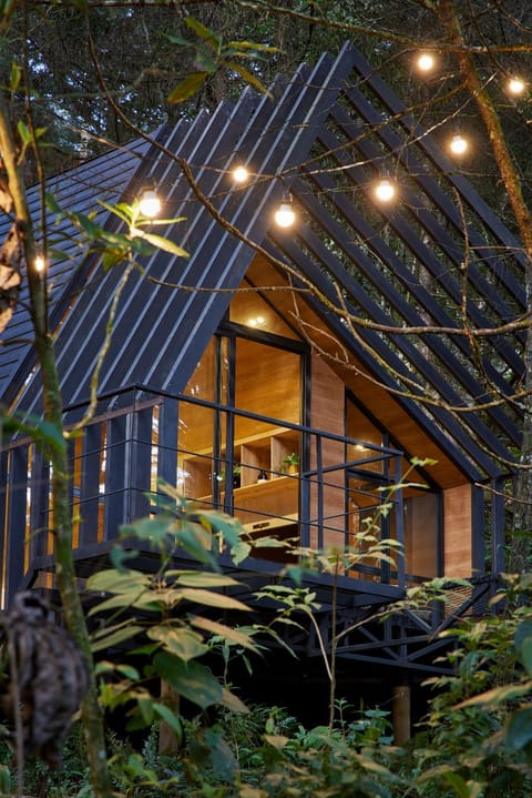 Night, Natural landscape, Garden, Balcony/Terrace