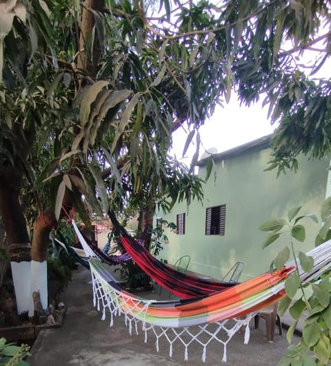 Day, Garden, Garden view