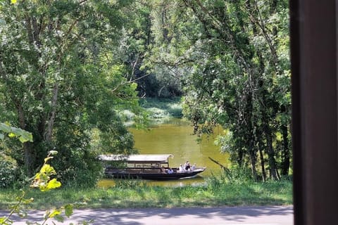 River view