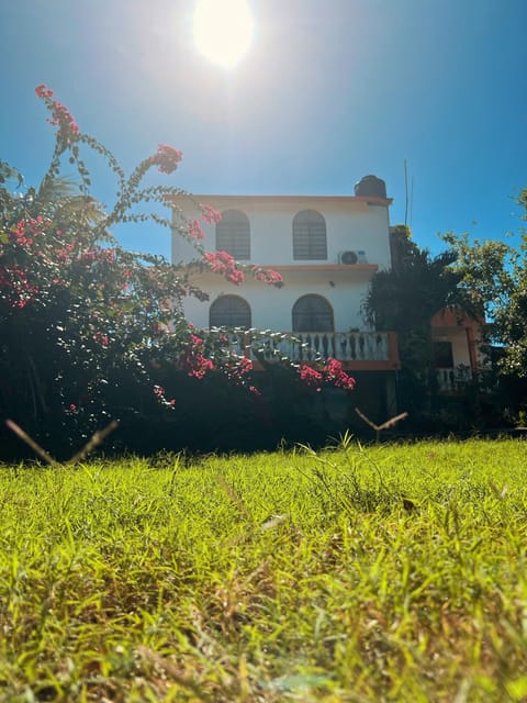 Facade/entrance, Garden