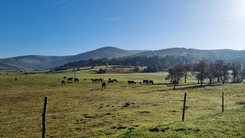 Horse Trail Plitvice Farm Stay in Plitvice Lakes Park