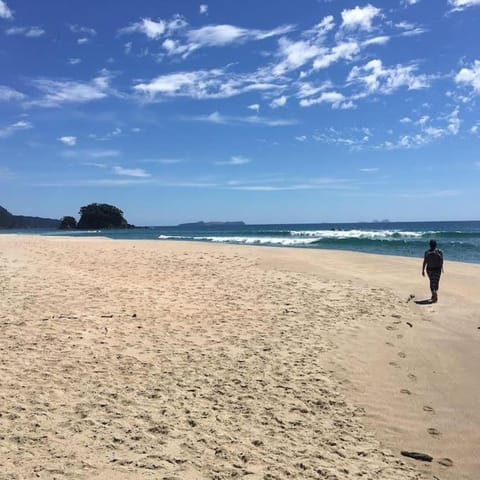 Absolute Ocean beachfront Onemana Pararaiha Apartment in Whangamatā