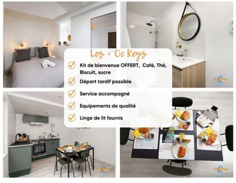 L'abreuvoir cosy proche grand bassin avec clim Apartment in Castelnaudary