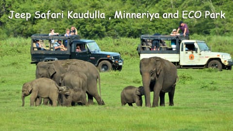 Nearby landmark, Day, Natural landscape, Animals, group of guests