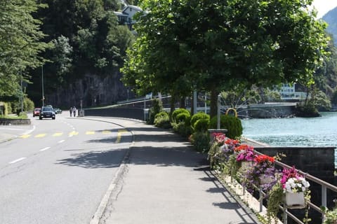 Schöne ruhige Wohnung mit Sicht auf den Innenpark Apartment in Nidwalden