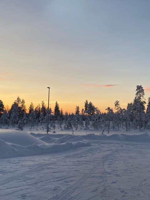 Arctic Moon Villa Villa in Rovaniemi