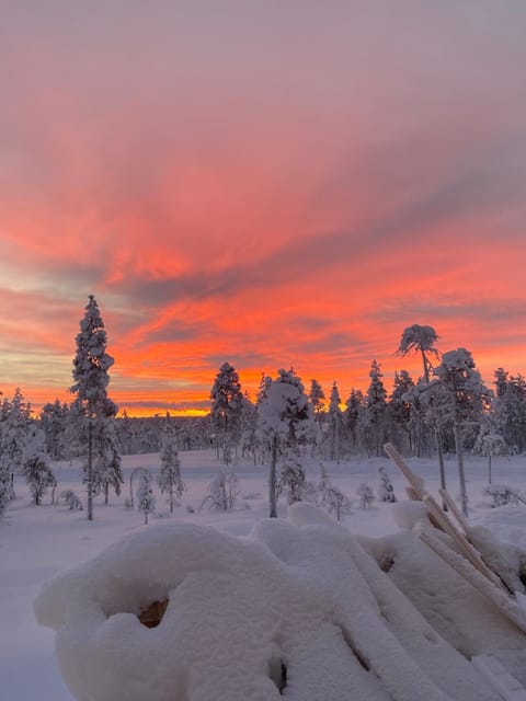 Arctic Moon Villa Villa in Rovaniemi