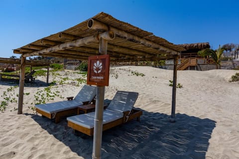 Day, Natural landscape, Beach