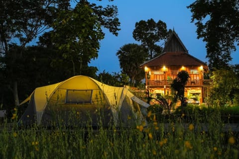 Night, Natural landscape, Garden, Garden view