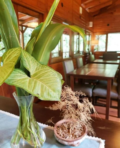 Selva de Laurel Hotel in Puerto Iguazú