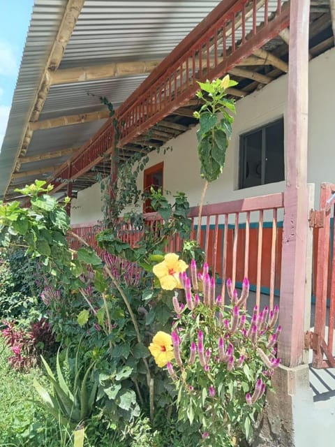 Property building, Day, Garden, View (from property/room), Balcony/Terrace, Garden view